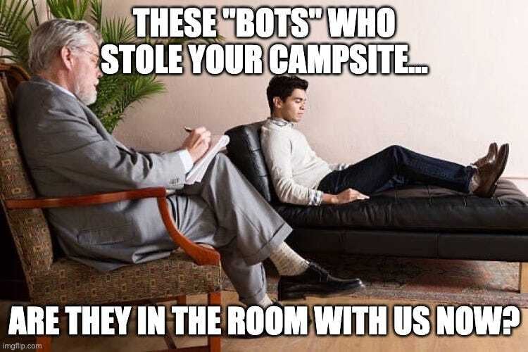No, "bots" didn't steal your campsite