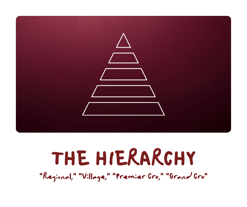 Field Notes | Burgundy