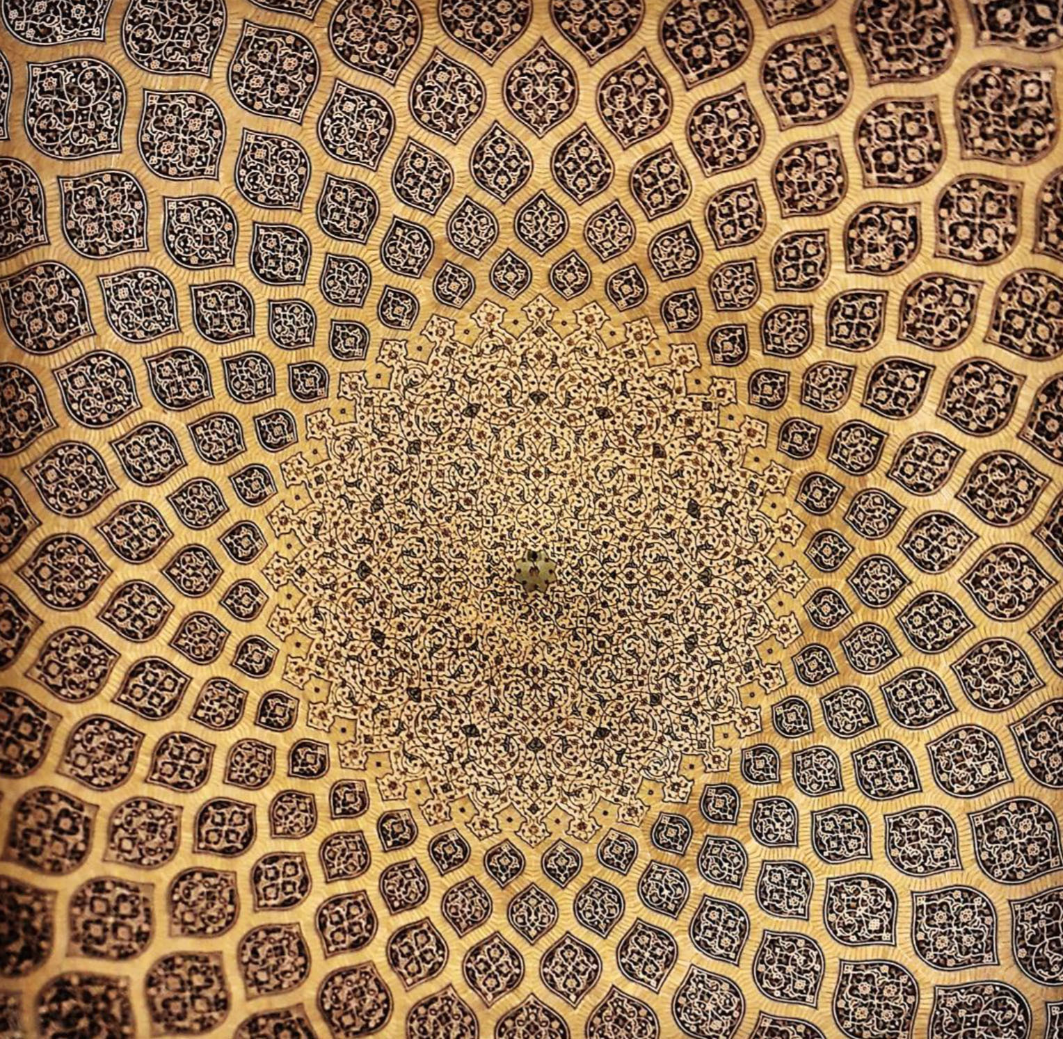 Gorgeous Patterns of Iran
