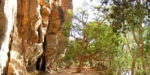 How strengths and goals can improve your sense of well-being