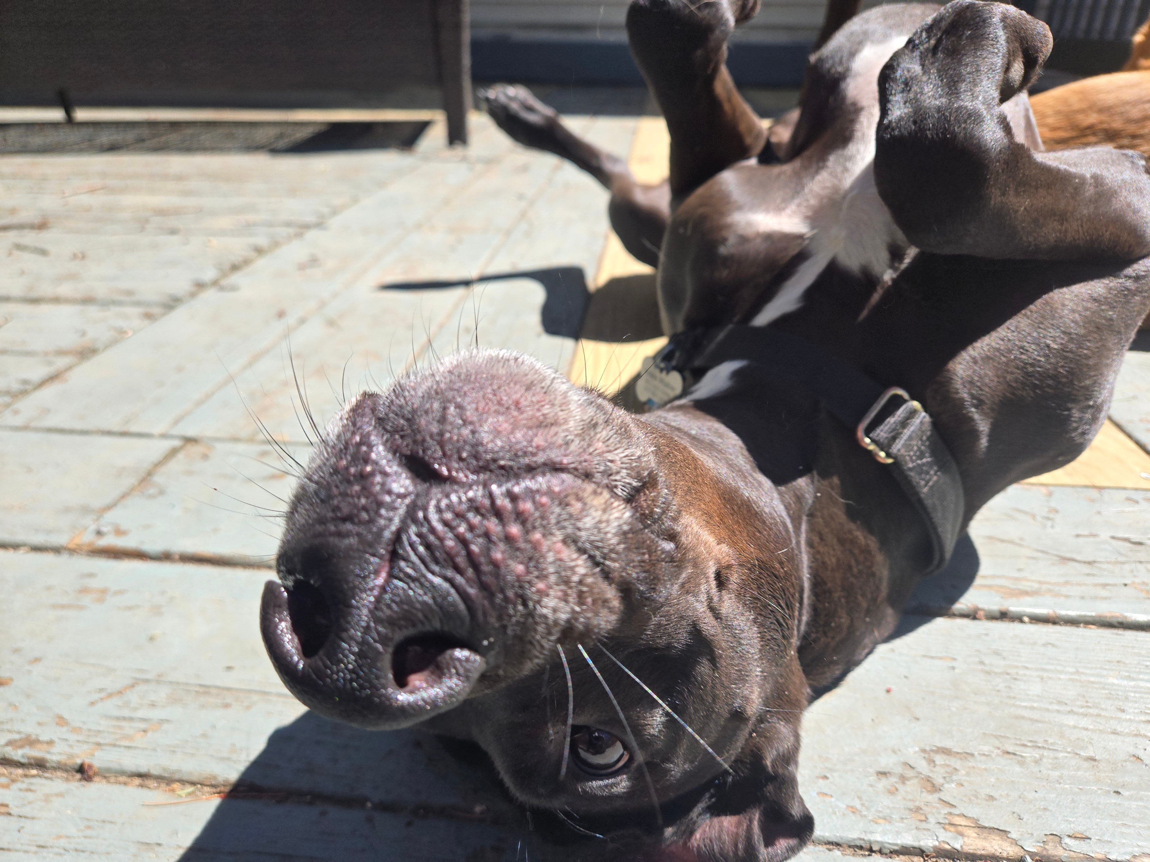 #AcademicRunPlaylist - 4/9/26