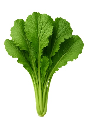 Mustard Greens  =  health