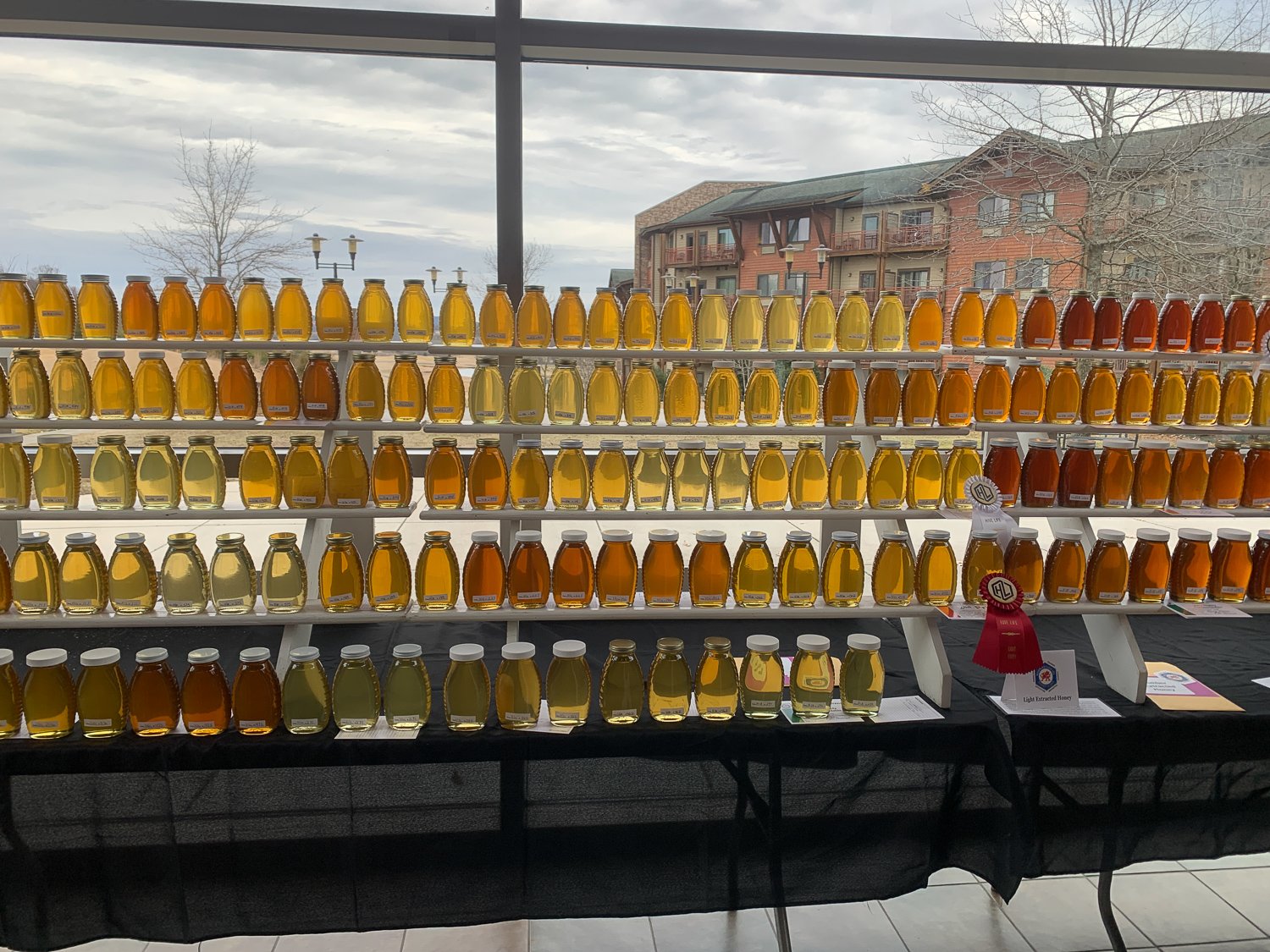 Rare Raw Honey Spotlight: Why “Hard-to-Find” Honey Tastes Different