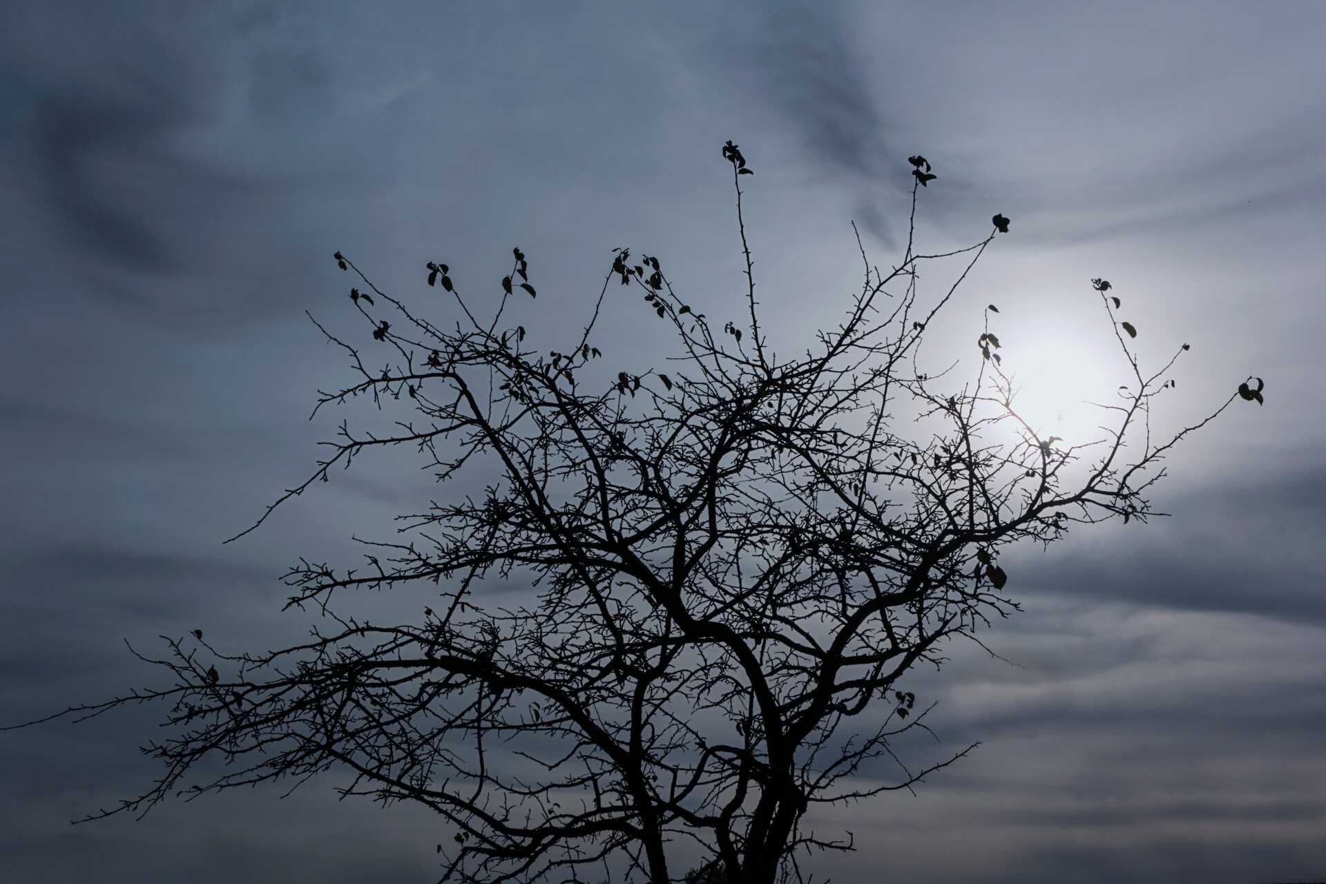 On Self-Isolation & Healing Work | Prose