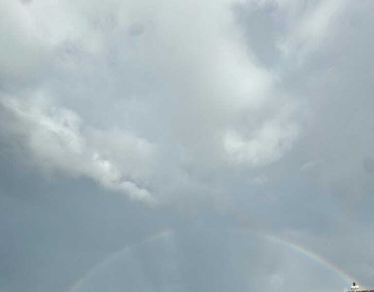 From the Desk Recommends... the Tyranny of Treats