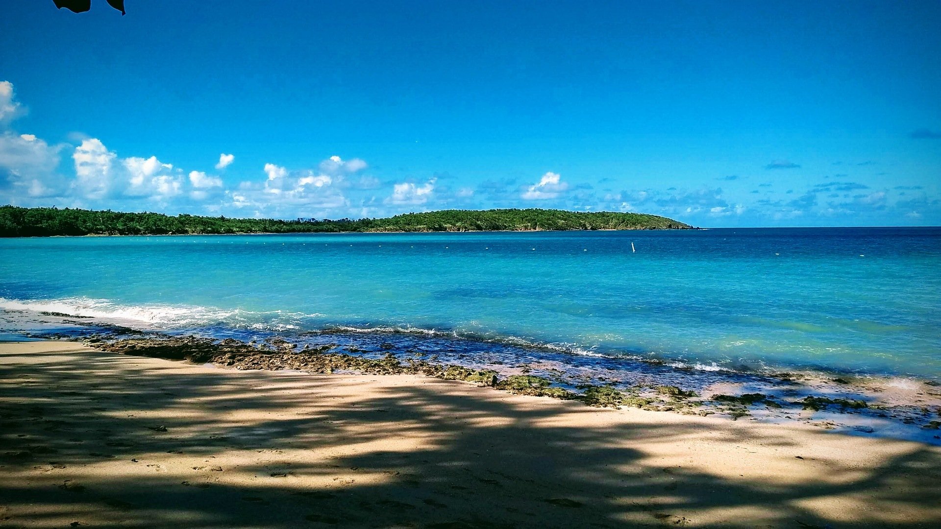 The Ocean Was My First Teacher