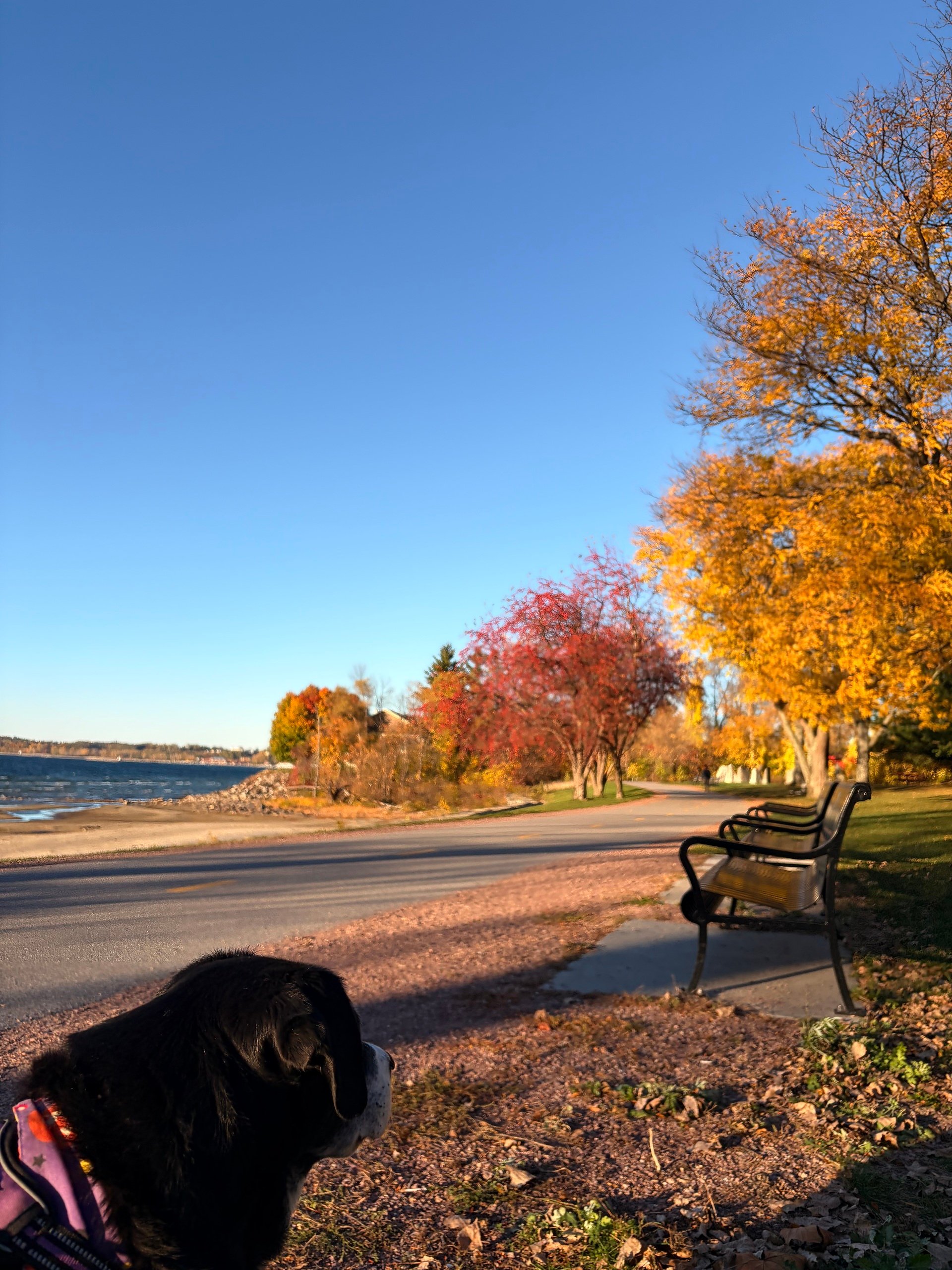 Monday, November 3rd