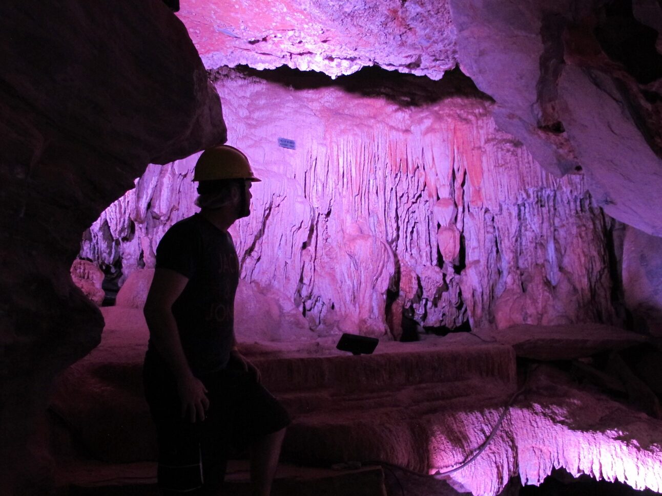 The (Danish) father of Brazilian paleontology