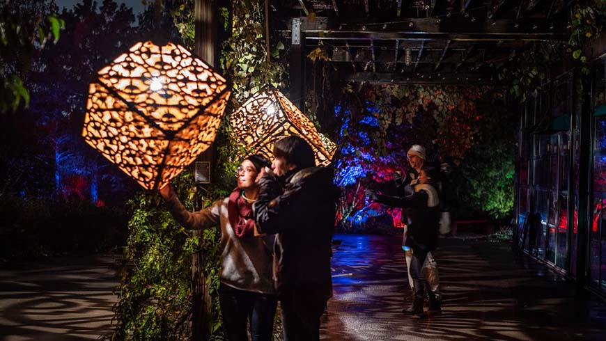 Christmas Parades, Holiday Markets, & Raleighwood Updates - November 19th