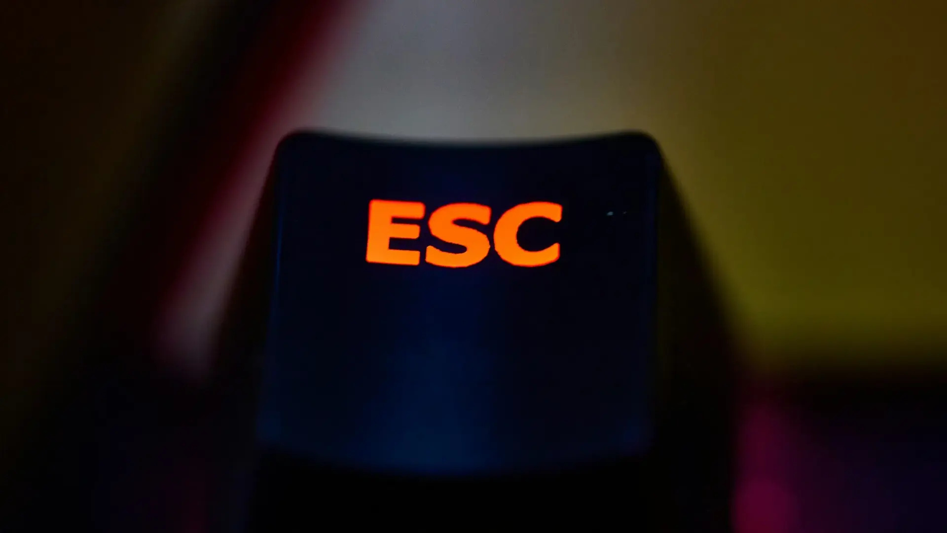 🐝 Hive Five 258 - Social Filesystem