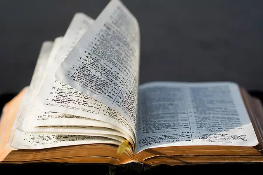 Ancient Clues to Psychoactive Plants in Scripture