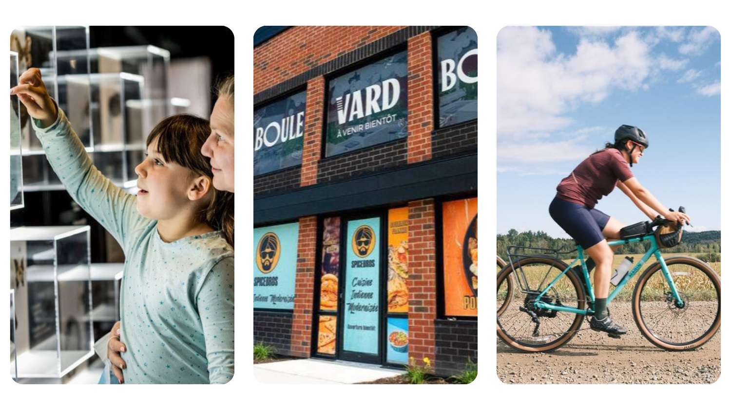 🦫 Still hungry for summer? We’ve got you covered 