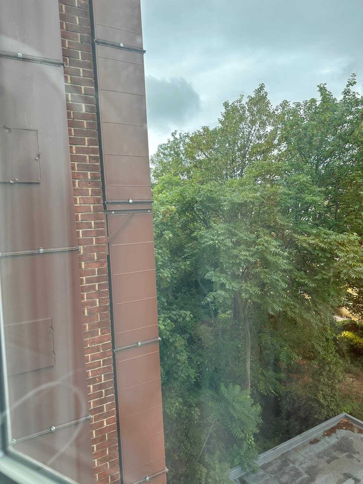 letter #61 My Fascination With Celia Paul