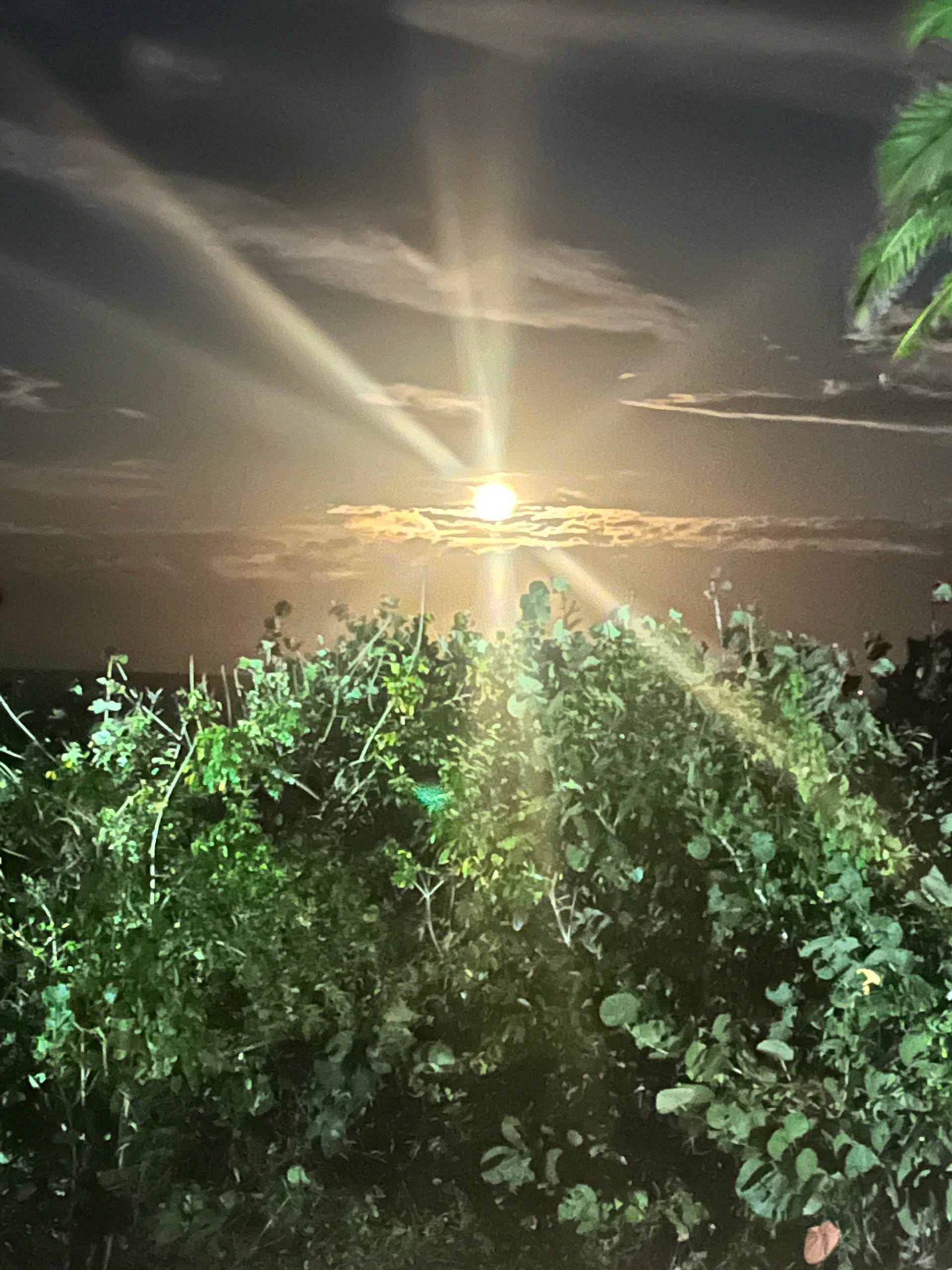 Expanding Our Capacity for Care & Compassion