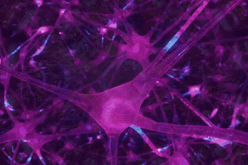 Here's Why Some Ayahuasca Journeys Hit Harder Than Others