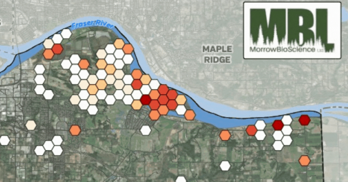 Drones, helicopters, climate change: The world of mosquito-fighting