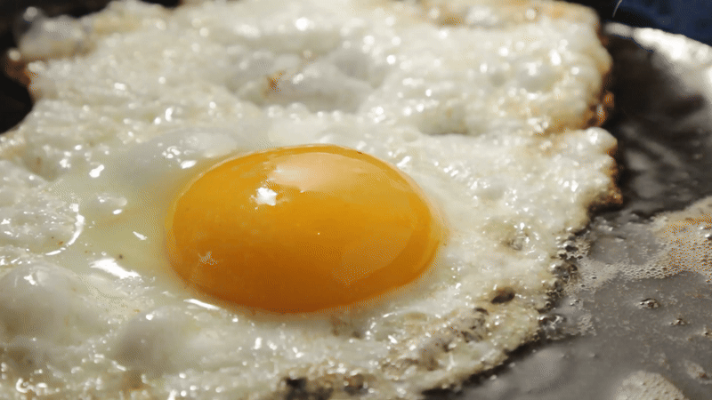 Your Brain on Psychedelics...And ChatGPT