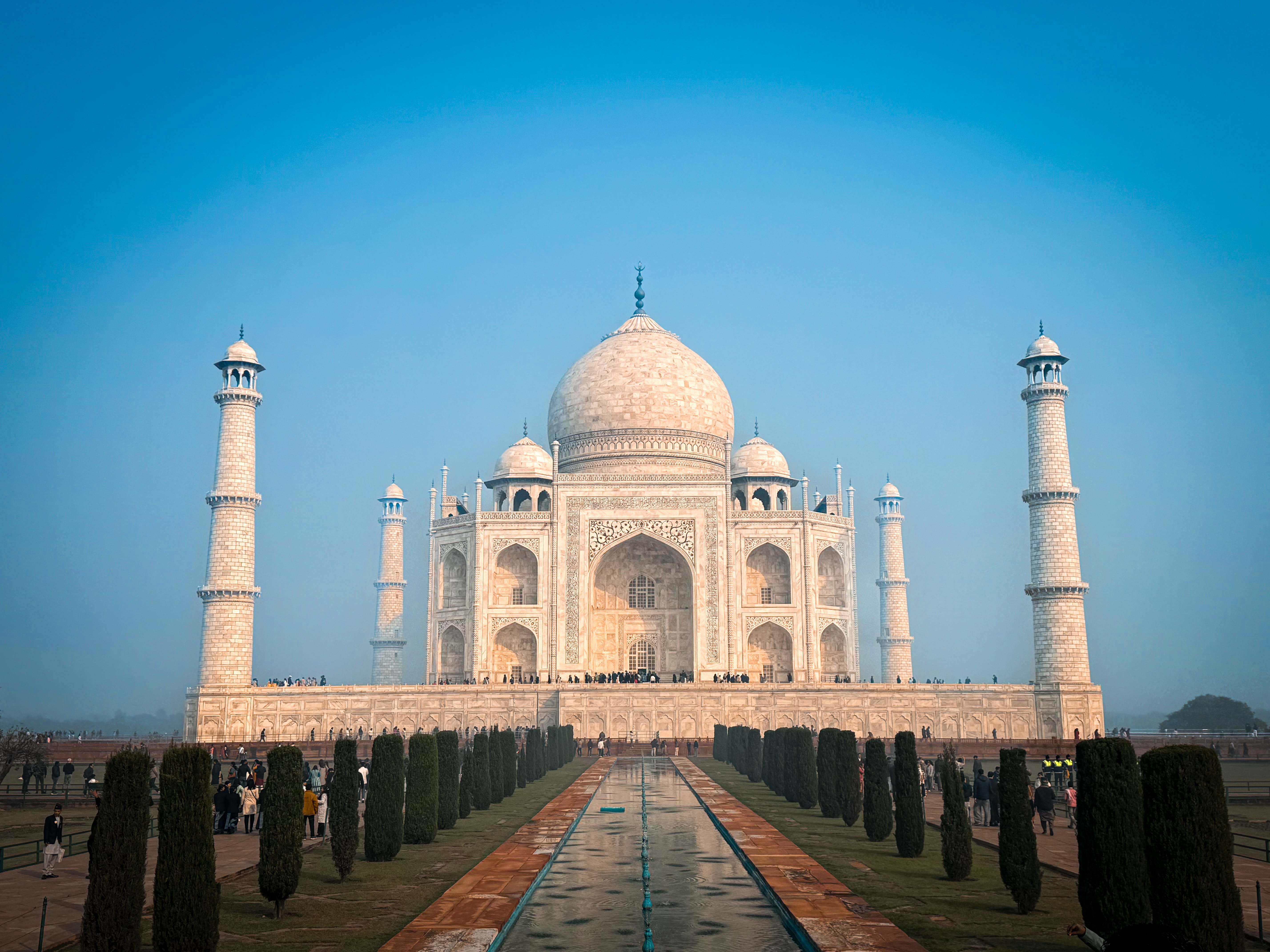 Issue 7: I Paid to Stare at Fog