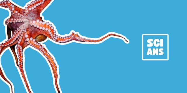 How powerful is one horse, really?