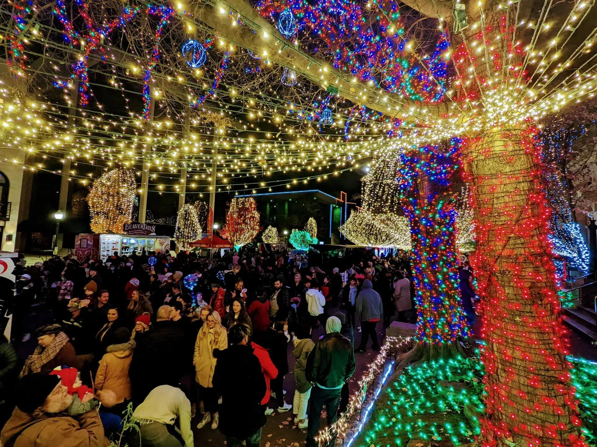 2025 Christmas Light Guide for NWA 🎄