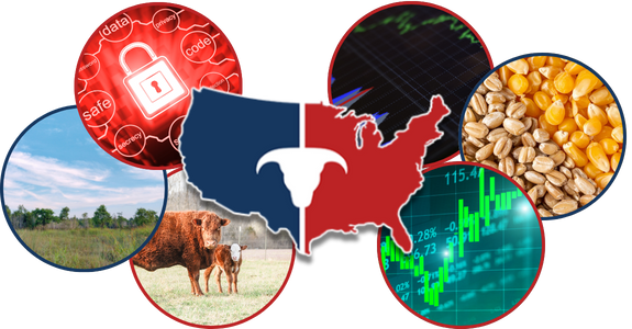 CATTLEUSA DRIVE - Monday, December 29th