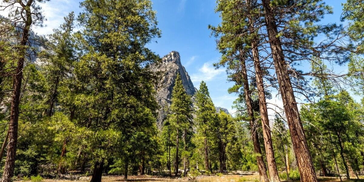 9 of the Hardest National Park Campground Reservations to Snag