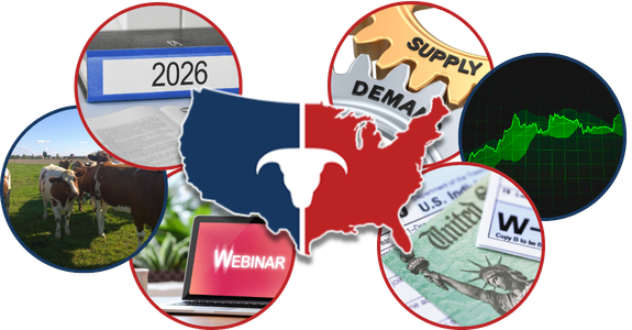 CATTLEUSA DRIVE - Wednesday, February 11th