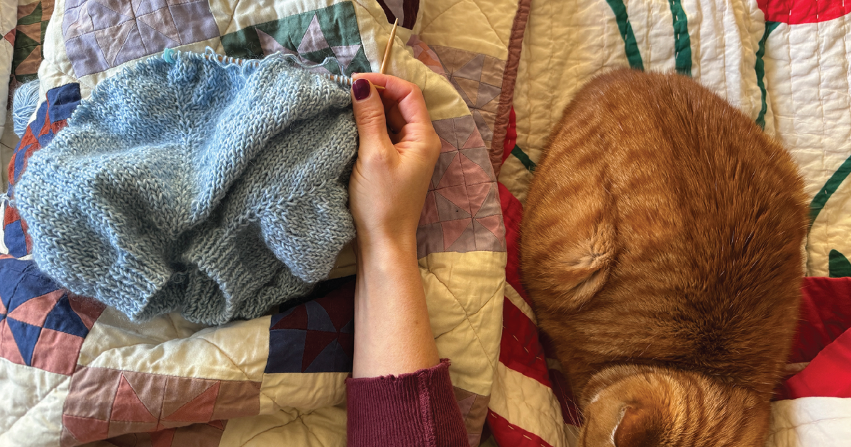 Postcards from the Art House