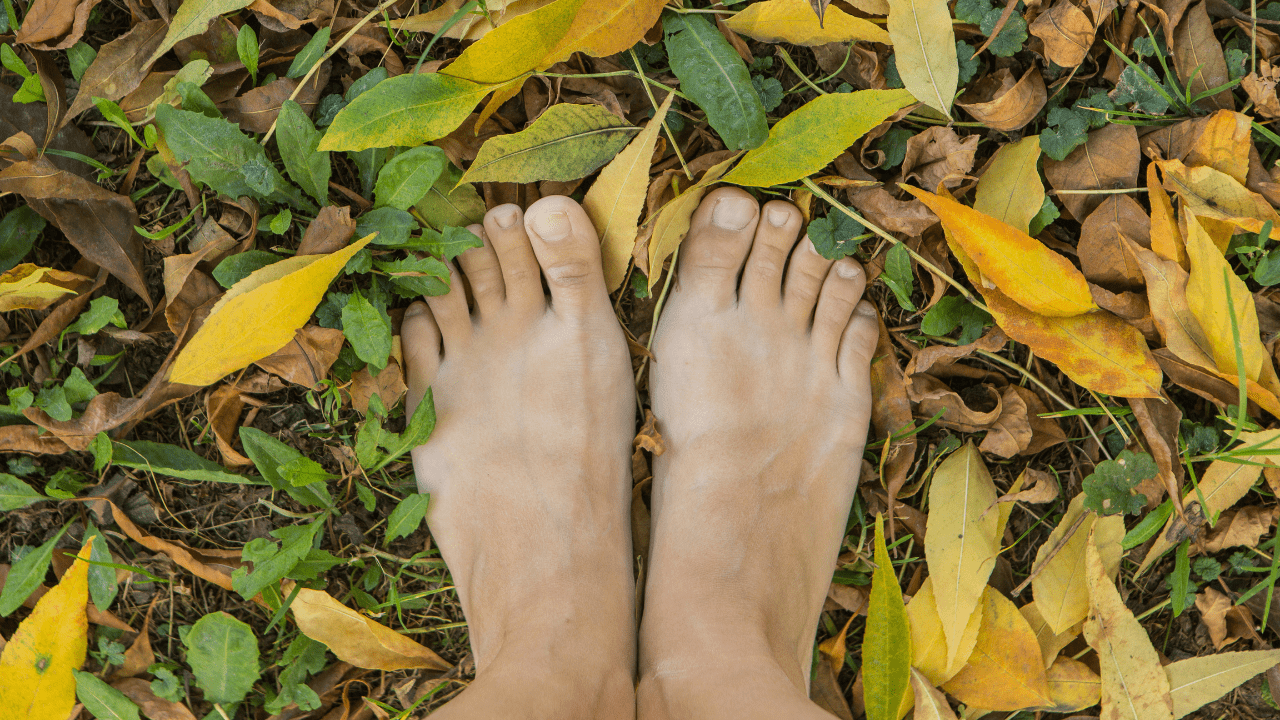 November 25, 2025 - What is Grounding? The 5 Helpful Tips & 8 Soothing Benefits