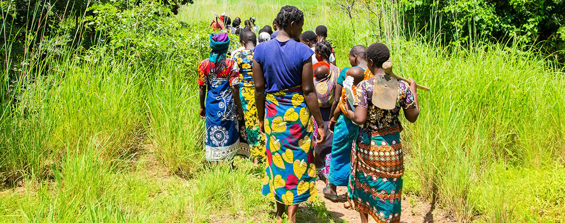 Week in Review: August 1, 2025