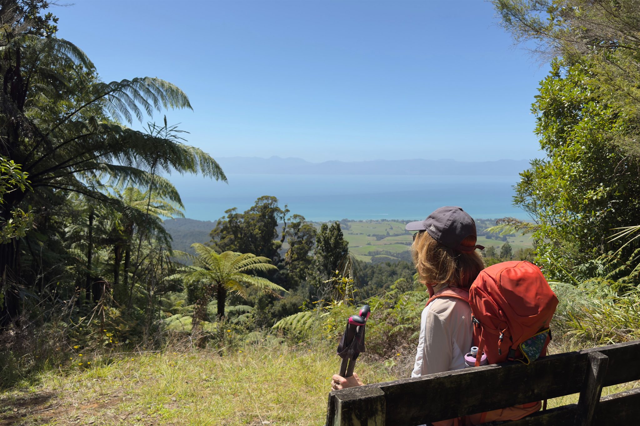 New loop trail immerses you in nature just 90min from Auckland