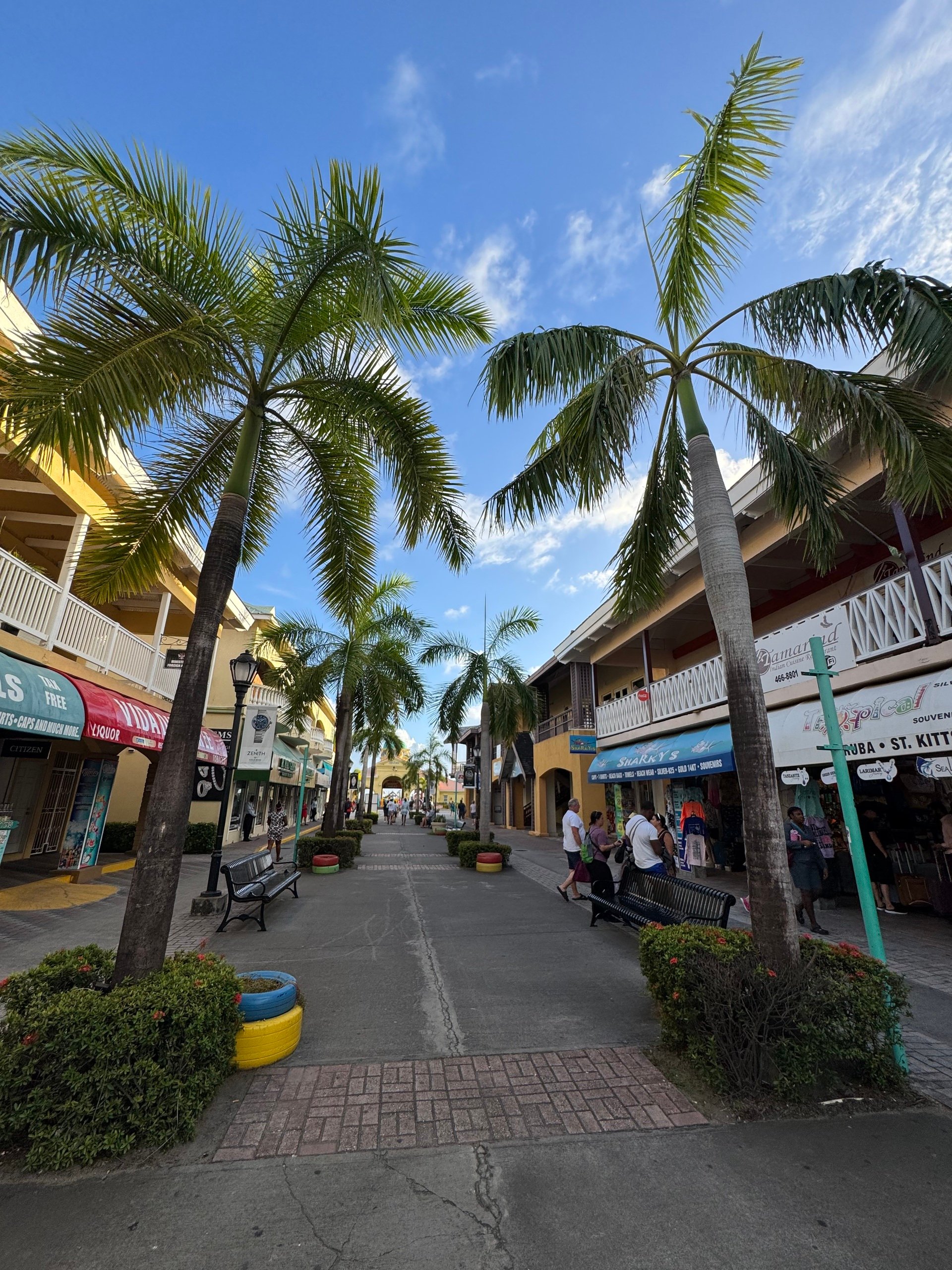 💭Curiosities, Intuitions, & Doing More of What We Love