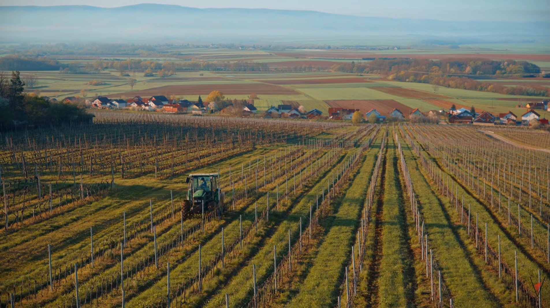 A Great Video Intro to Croatia, Ice Wine Explained, Wines to Welcome Spring, and much more...