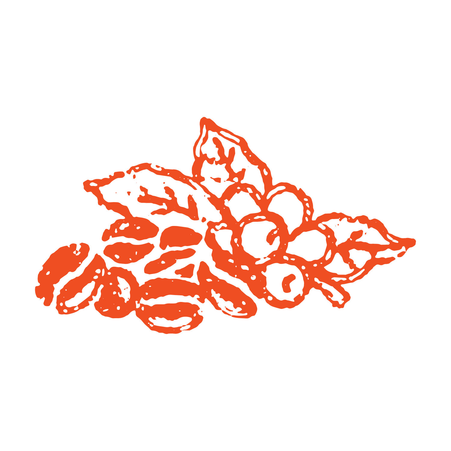 Is This Where the Homeschool Calm Was Hiding All Along?