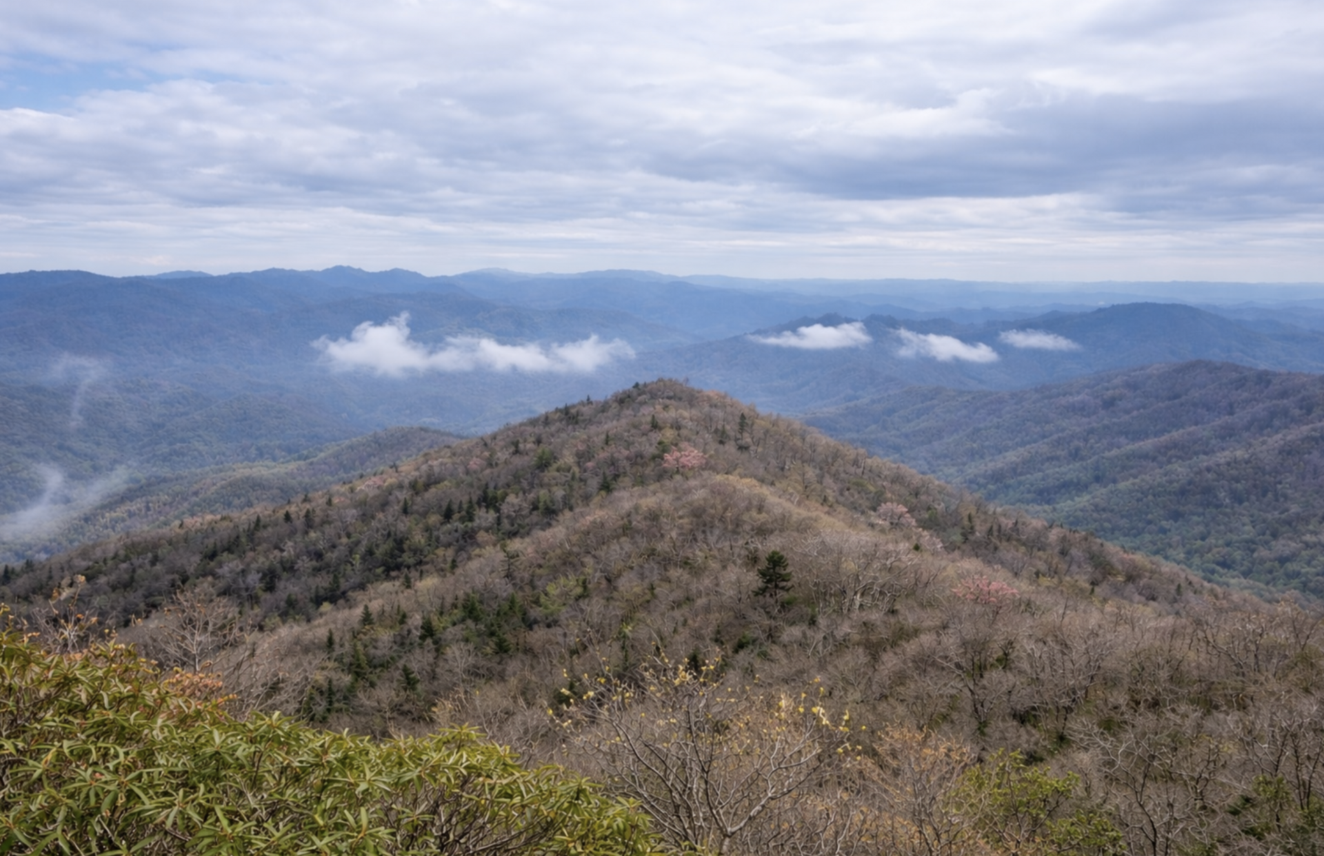 20260215 Upcoming Hikes