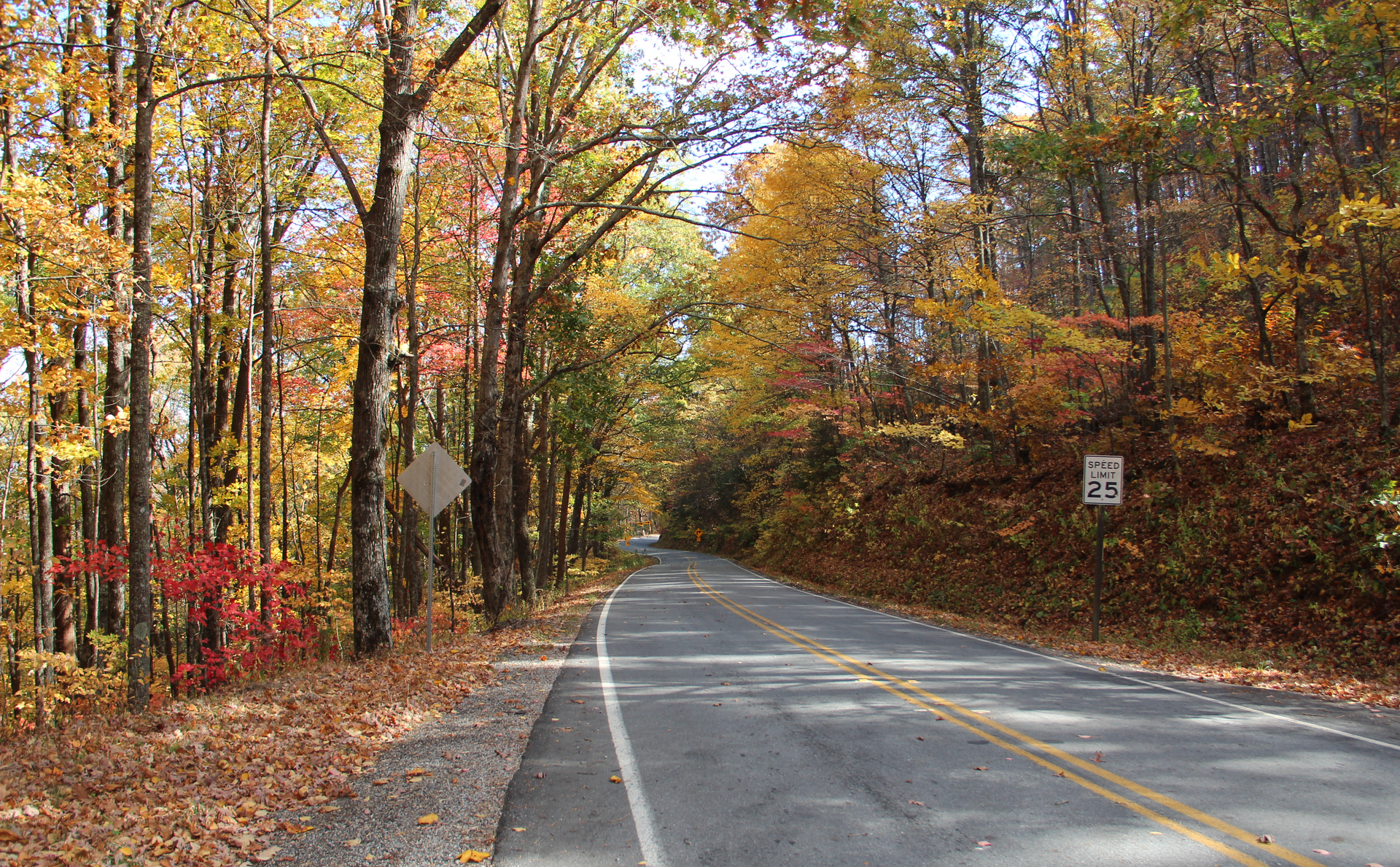 Epic Rides: Georgia's Dragon