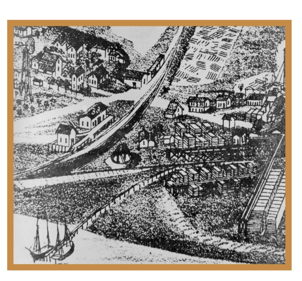 Curious about the history of Cedar Key?