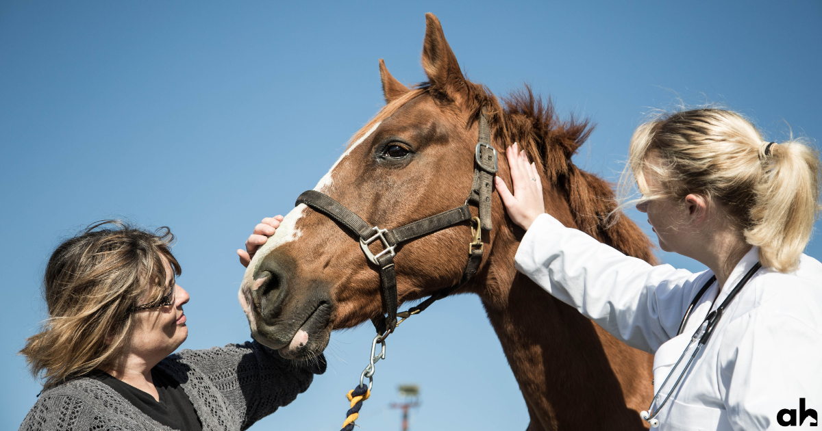 How Often Do You Worm A Horse? - Vet Recommendations