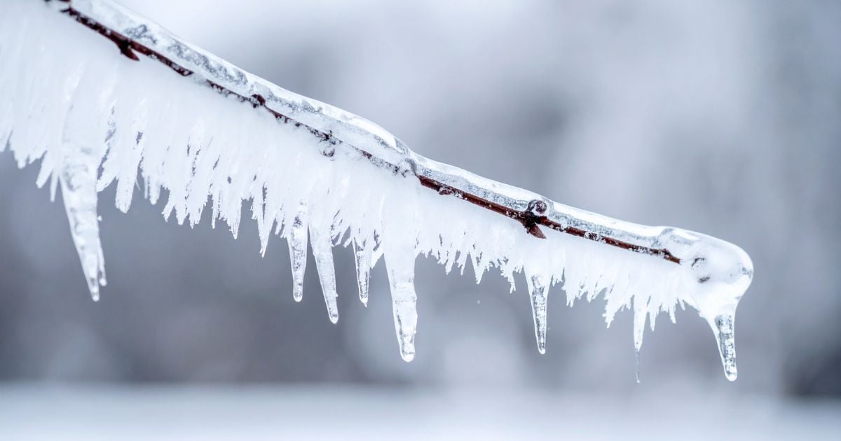 Meetings of Interest: Marilla Freeze-Out 🥶