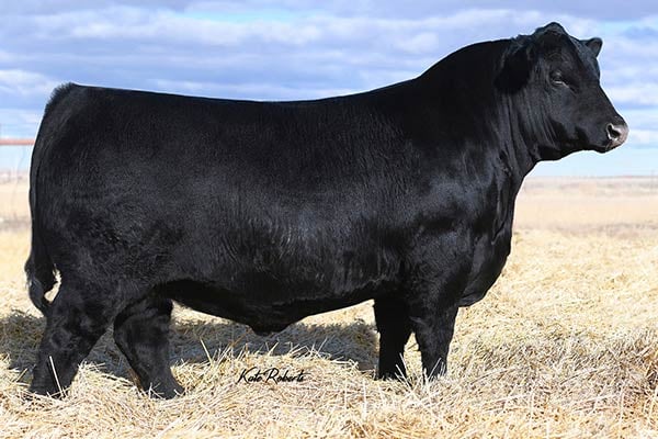 Square B True North 8052