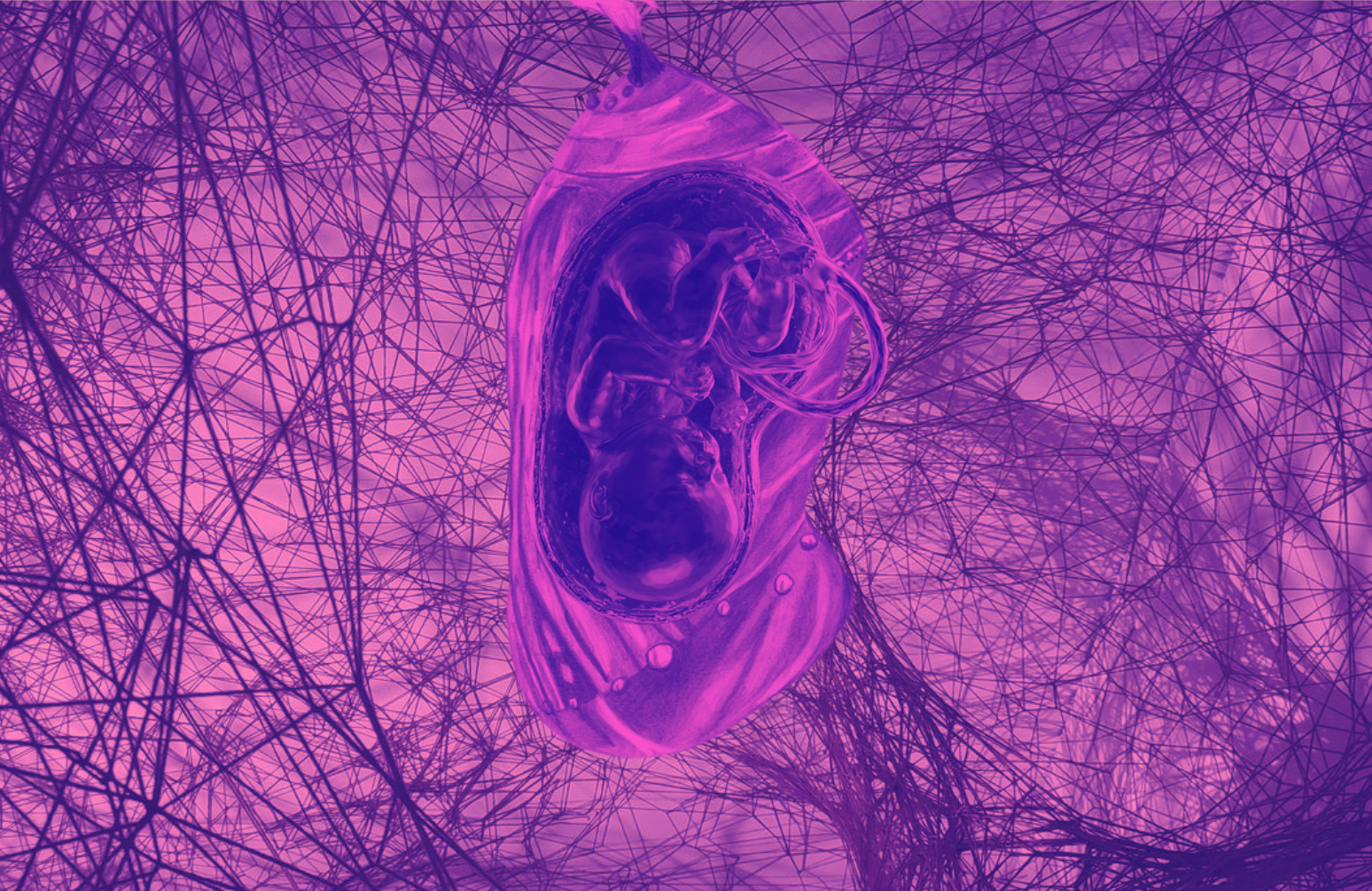 Escuche, Encuentre, Suene: una invitación hacia tantas otras escalas 