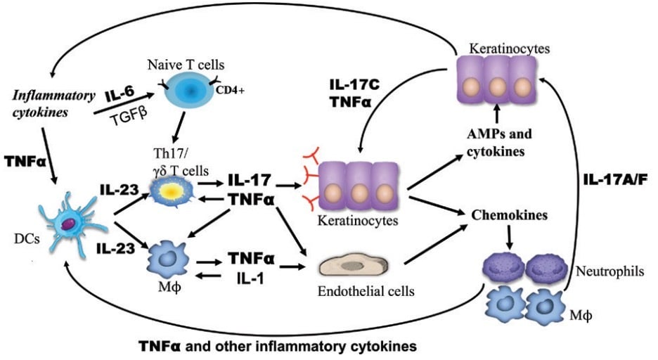 Life Lessons from Immuno-pathology