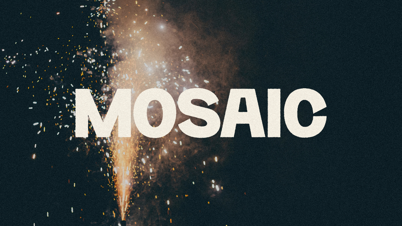 MOSAIC 007 — $1 Camera Gear, Kodak's Price Increase, and Favorite Habits for 2025