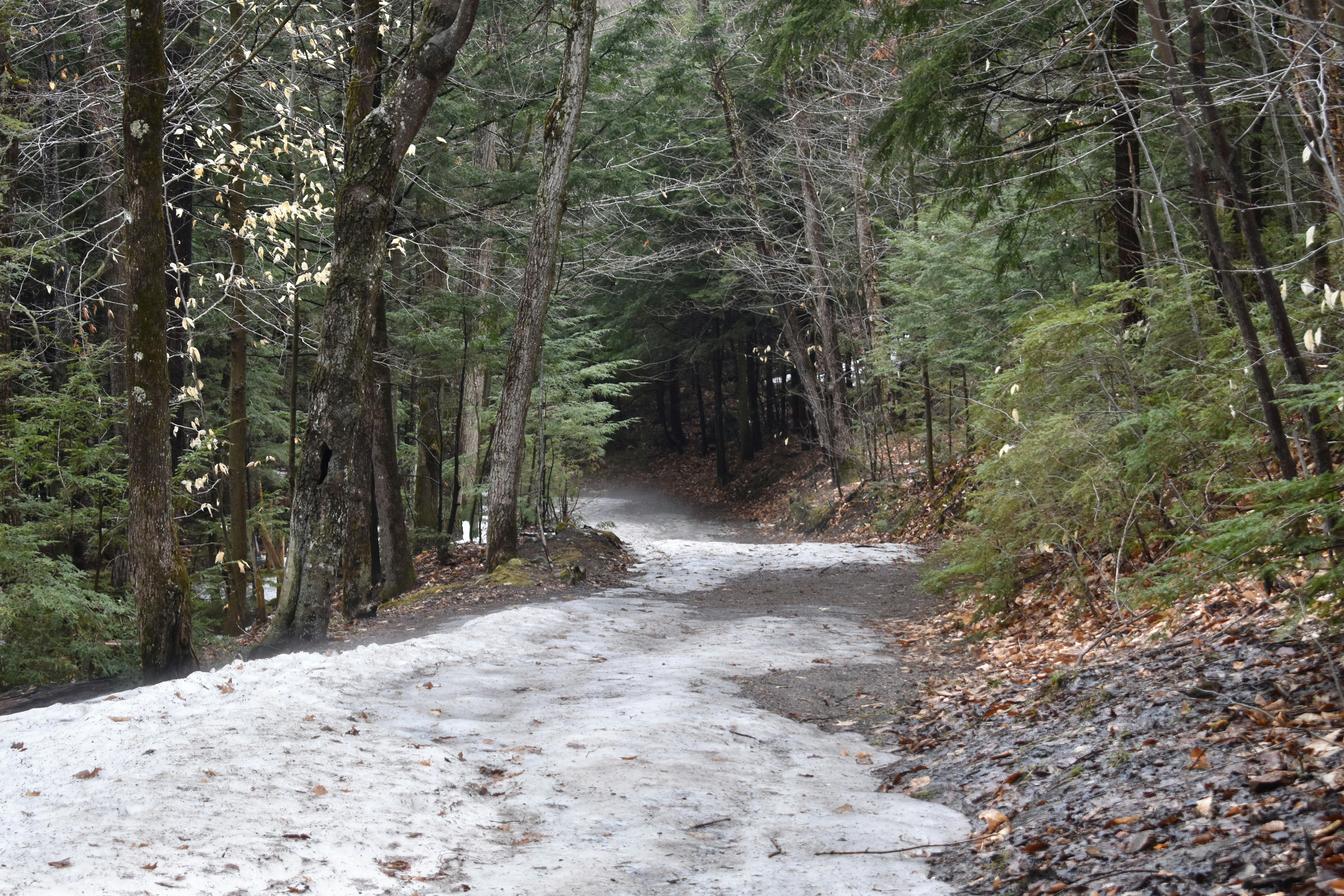 ☔️ Rain rain go away