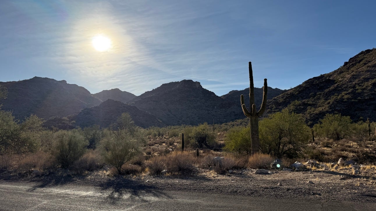 Why Some Phoenix Trails Close in the Summer