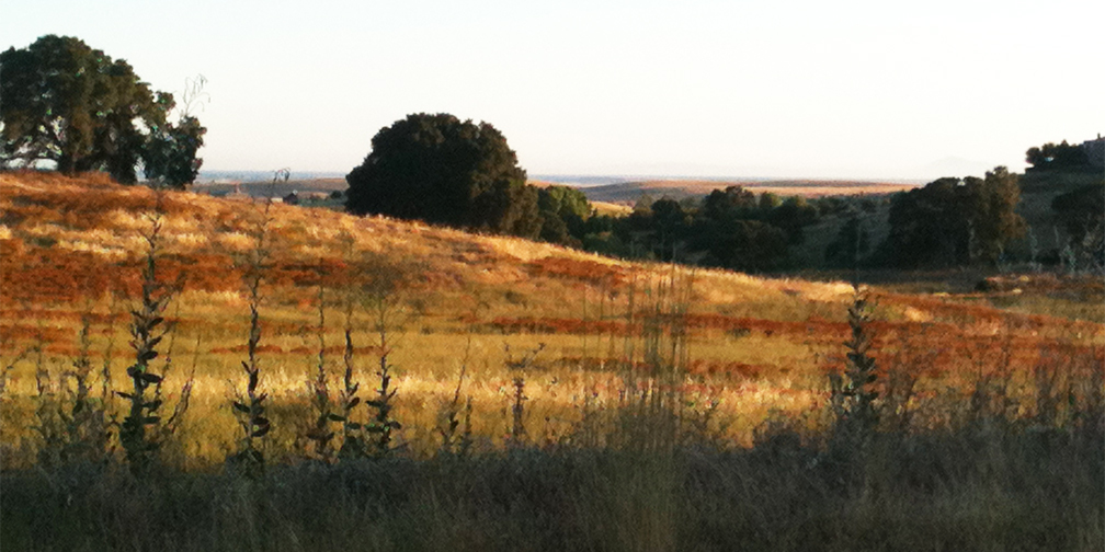 The Allure of the Hills