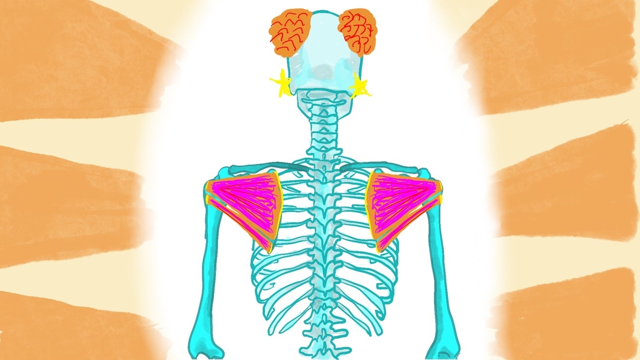 How to Find and Strengthen Your Rotator Cuff Muscles