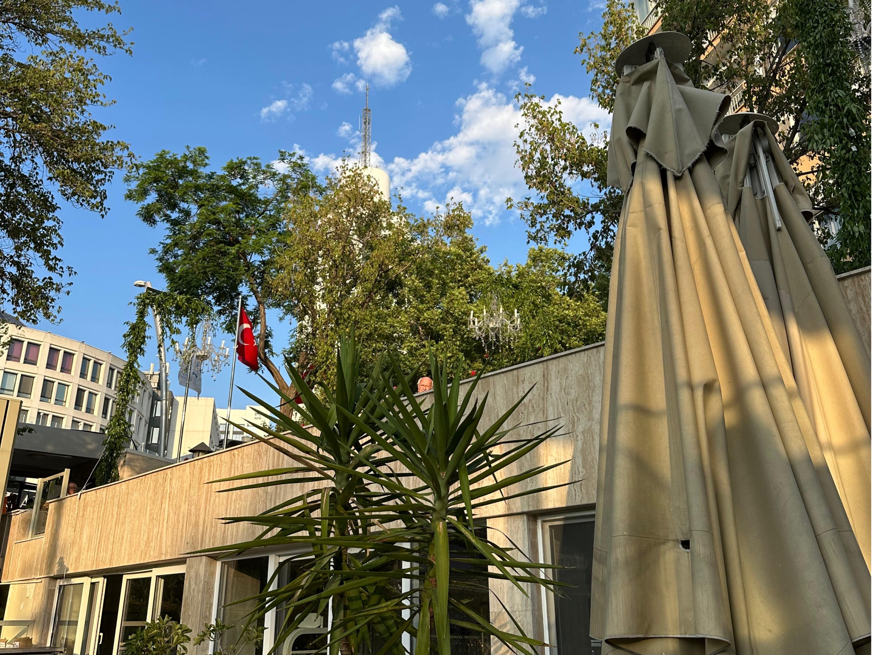 filAnkara #033: 11 Aralık-14 Aralık 2025