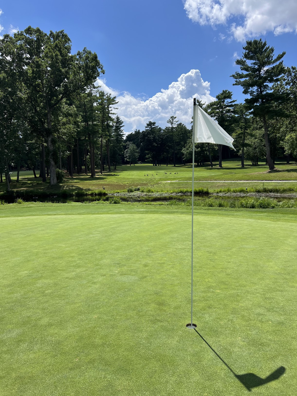 Course 152: Pine Oaks 