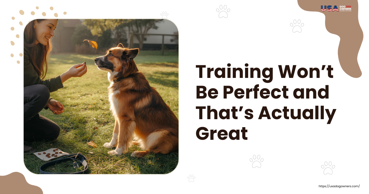 🐾 Training Won’t Be Perfect and That’s Actually Great